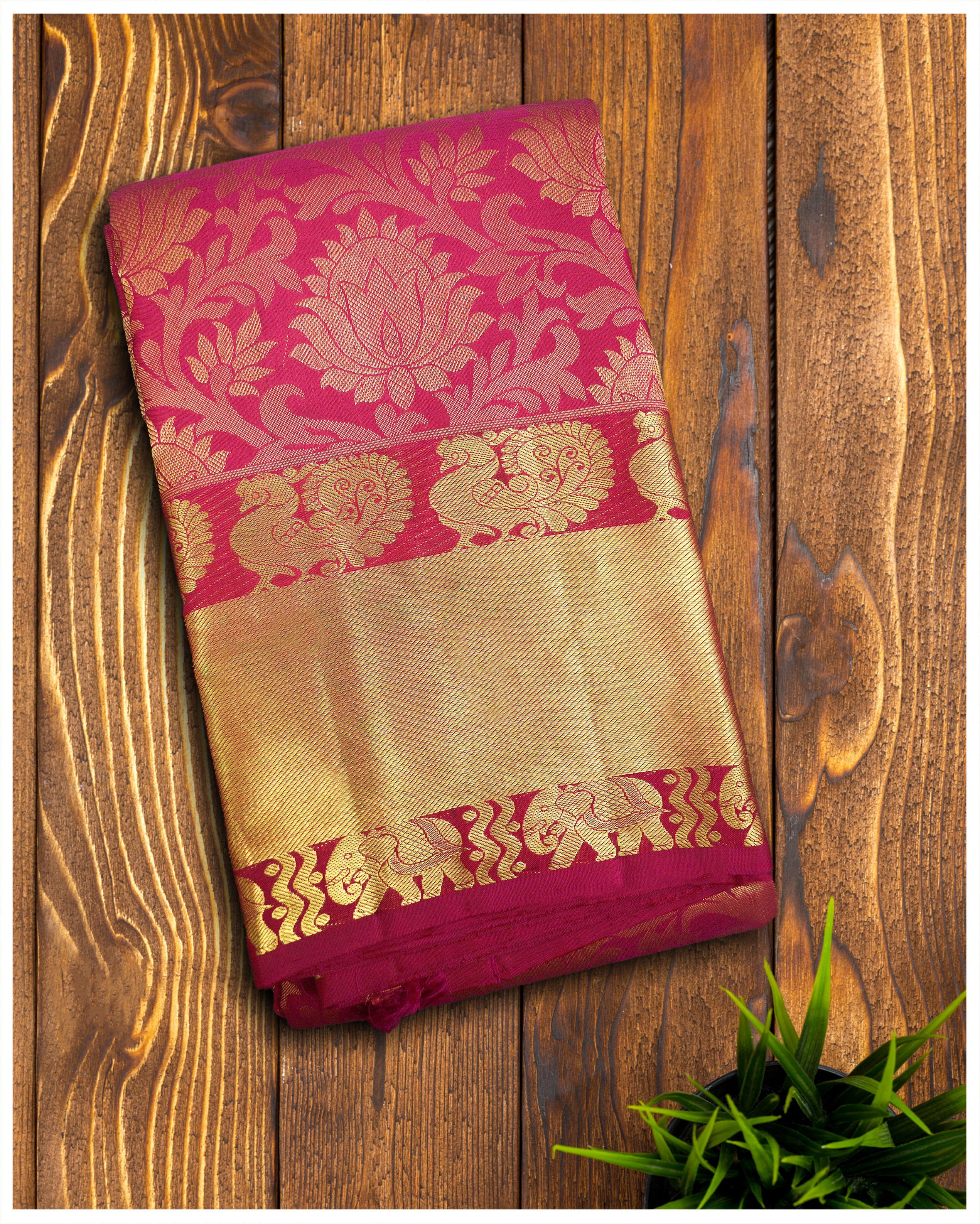 Border Designer Wedding Party Wear Saree, Dry clean, Saree Length: 6 m  (with blouse piece) at Rs 1200 in Indore
