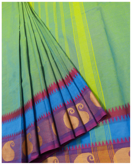 Multicolor Handloom Cotton Saree